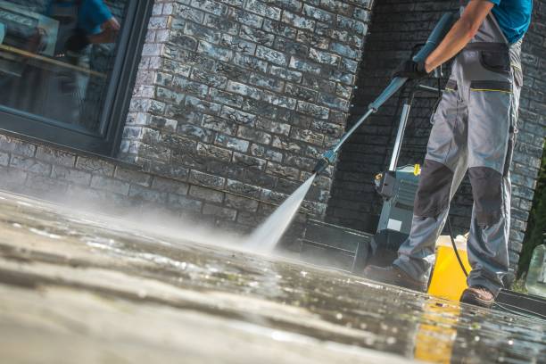 Best Spring Cleaning  in Dunkirk, NY