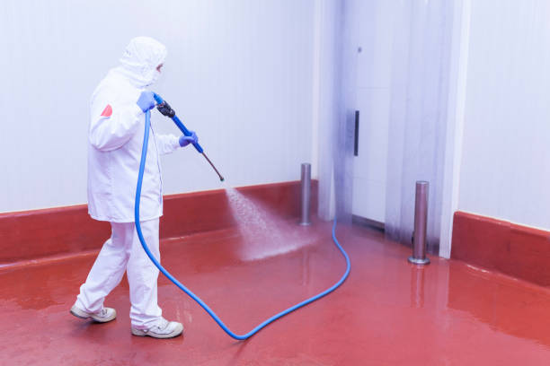 Best Restaurant Pressure Washing  in Dunkirk, NY